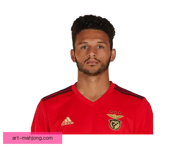 从本菲卡青训杀手到巴黎锋线新核贡萨洛拉莫斯转会背后博弈与野心